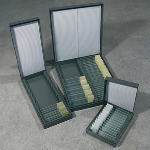Aptaca Microslide Box, Holds 50 Slides, 230L x 97W x 35Hmm, Unhinged ...