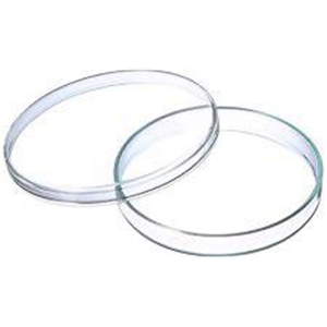 Livingstone Petri Dish, with 3 Vents and 2 Sectors, 90 x 14(H) mm, with Lid, Sterile, Recyclable Polystyrene, 20 Pieces/Bag