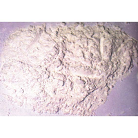 Boral Investo 3F Plaster 20Kg/Bag Bag