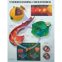 Chart Understanding Cholesterol, Each Each