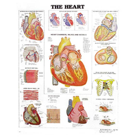 Chart Heart, Each Each