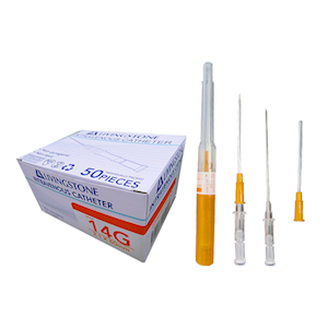 Livingstone Intravenous IV Catheter, 14 Gauge x 2 inches, Each Each
