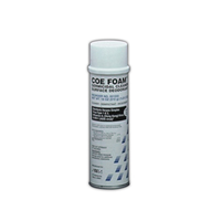 COE FOAM SPRAY 22oz/CAN Each