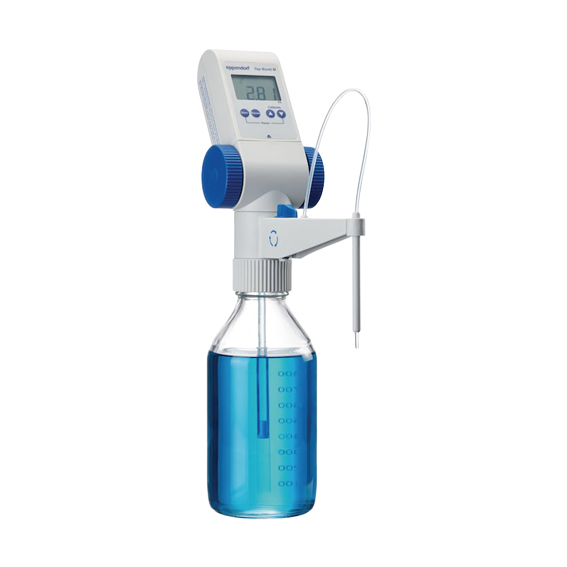 EP4965000017