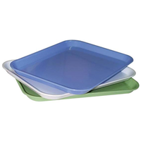 Instrument Tray, Autoclave, 340 x 245 x 22mm, White, Recyclable Plastic, Each Each