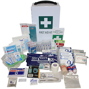 Livingstone First Aid Kit, Complete set in Wall Mountable Metal Case, 1-Way, 38 x 21 x 12cm (for Aldi), Each Each