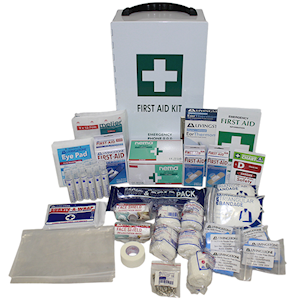 Livingstone First Aid Kit, Childcare Group, Complete Set in Metal Case Each