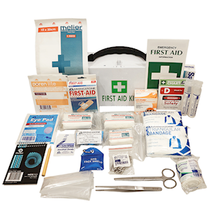 Livingstone Victoria Micro First Aid Kit, Complete Set In Green Pouch, for 1-10 people Kit