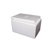 Livingstone Foam Cooler Box, 31 Litres, 490 x 338 x 280 mm, with Lid, Each (621147) Each