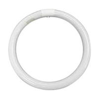 PILOT GLOBE FOR STAR DENTAL X-RAY VIEWER