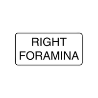 "RIGHT FORAMINA" - X-RAY LABEL500/BOX Box