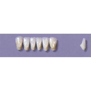 Myerson Anteriors YM1-100