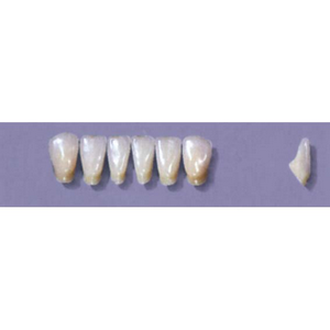 Myerson Anteriors YM1-100