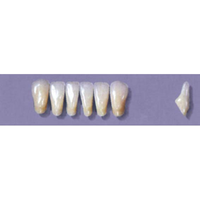 MYERSON ANTERIORS #8/70 (1x6 CARD) Card