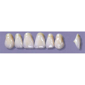 MYERSON ANTERIORS #A11/58 (1x6CARD) Card