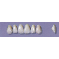MYERSON ANTERIORS #A2/58 (1x6 CARD) Card