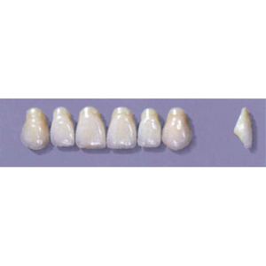 MYERSON ANTERIORS #A43/D (1x6 CARD) Card
