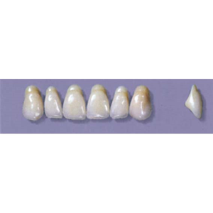 MYERSON ANTERIORS #A4/65 (1x6 CARD) Card