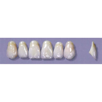MYERSON ANTERIORS #A52/73 (1x6CARD) Card