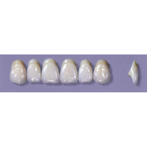 MYERSON ANTERIORS #A64/65 (1x6CARD) Card