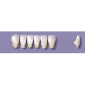 MYERSON ANTERIORS #A71/73 (1x6CARD) Card