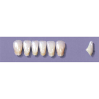 MYERSON ANTERIORS #A71/F (1x6 CARD) Card