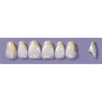 MYERSON ANTERIORS #A72/62 (1x6CARD) Card