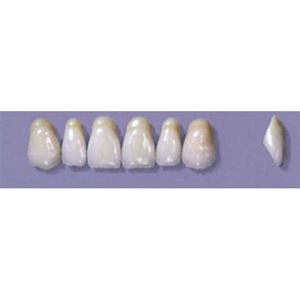 MYERSON ANTERIORS #A7/C (1x6 CARD) Card