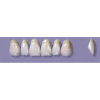 MYERSON ANTERIORS #A7/G (1x6 CARD) Card