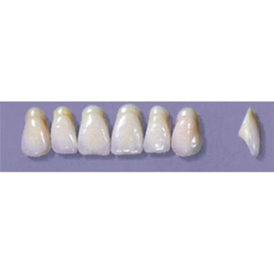 MYERSON ANTERIORS #A9/73 (1x6 CARD) Card