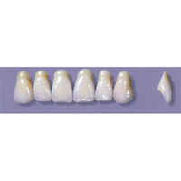 MYERSON ANTERIORS #A9/F (1x6 CARD) Card