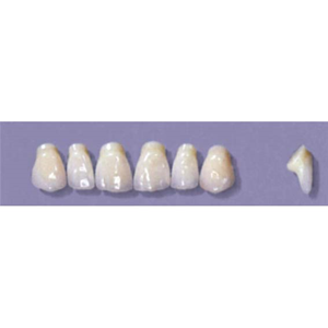 MYERSON ANTERIORS #PM2/G (1x6 CARD) Card