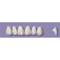 MYERSON ANTERIORS #PM2/I (1x6 CARD) Card