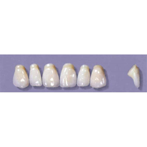 MYERSON ANTERIORS #PM4/F (1x6 CARD) Card