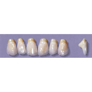Myerson Anteriors #PM8/H (1 x 6 Card), Each