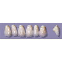 MYERSON ANTERIORS #PM8/F (1X6 CARD) Card