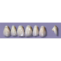 MYERSON ANTERIORS #PW4/62 (1x6CARD) Card