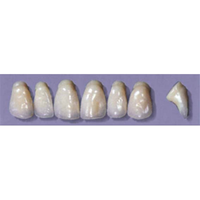MYERSON ANTERIORS #PW6/I (1x6 CARD) Card