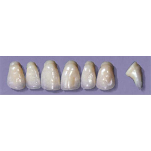MYERSON ANTERIORS #PW6/I (1x6 CARD) Card