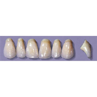 MYERSON ANTERIORS #PW8/69 (1x6CARD) Card