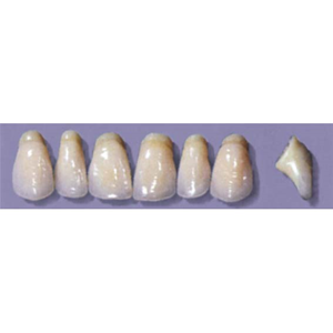 MYERSON ANTERIORS #PW8/I (1x6 CARD) Card