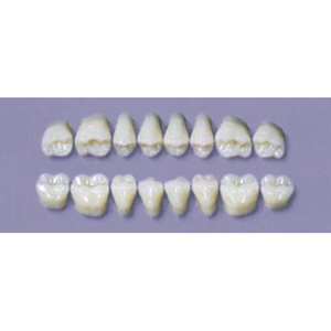 MYERSON DURA POST #28L/65 (1x8CARD) Card