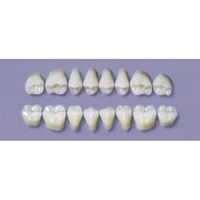 MYERSON DURA POST #28SLL/C (1x8 CARD) Card