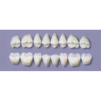 Myerson Dura Post #30SLL/G (1X8 Card) Each Card