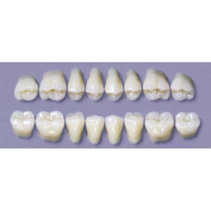 MYERSON DURA POST #32L/70 (1x8CARD) Card