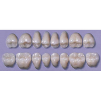 MYERSON DB SYN POST #32MU/60 (1x8 CARD) Card
