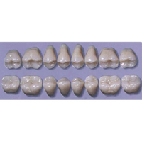 MYERSON DB SYN POST #34ML/62 (1x8 CARD) Card