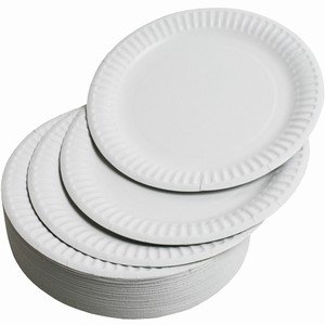 Bio Pak Biodegradable Paper Plates, Uncoated, Round, White, 230 Millimeter, 100/Pack Pack