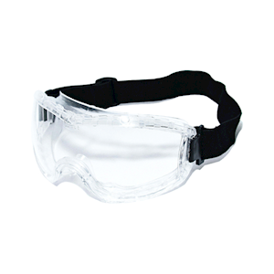 Livingstone Anti Fog Clear Goggle, Each Each