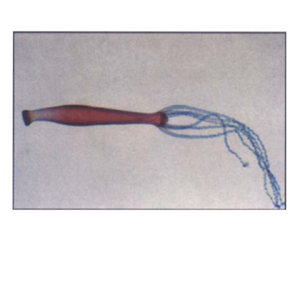 CLEARANCE, Livingstone Basic Level Prepared Slide, Plankton, Mixed, Whole Mount, Each